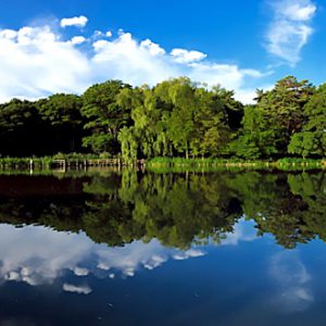 石神井公園