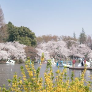 井之頭恩賜公園