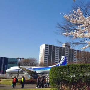 所沢航空記念公園